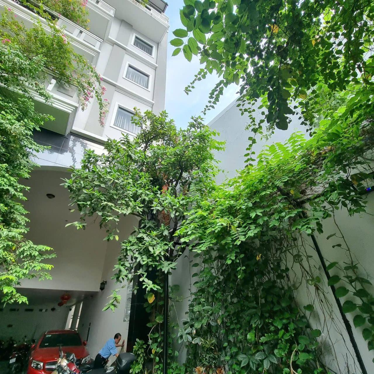 Ngoi Sao Phuong Nam Hotel Хошимин Экстерьер фото